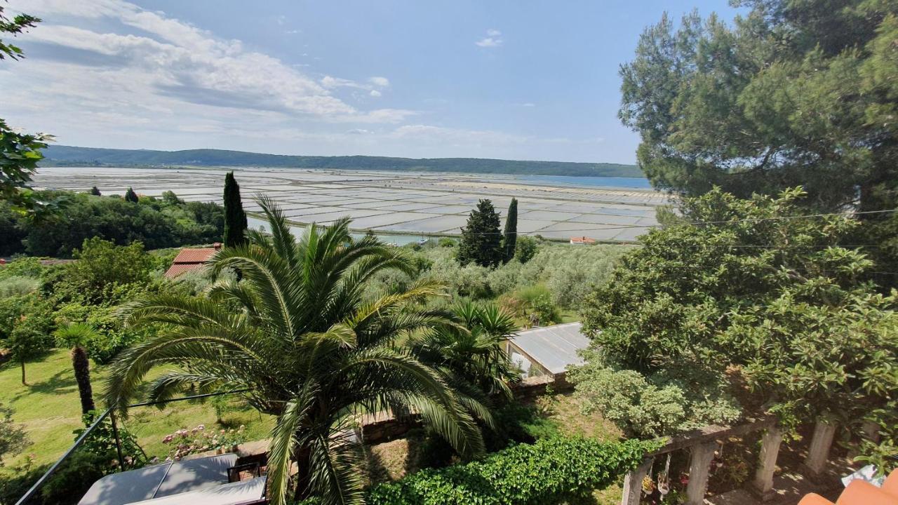 Apartment Laurus Portorož Exterior foto