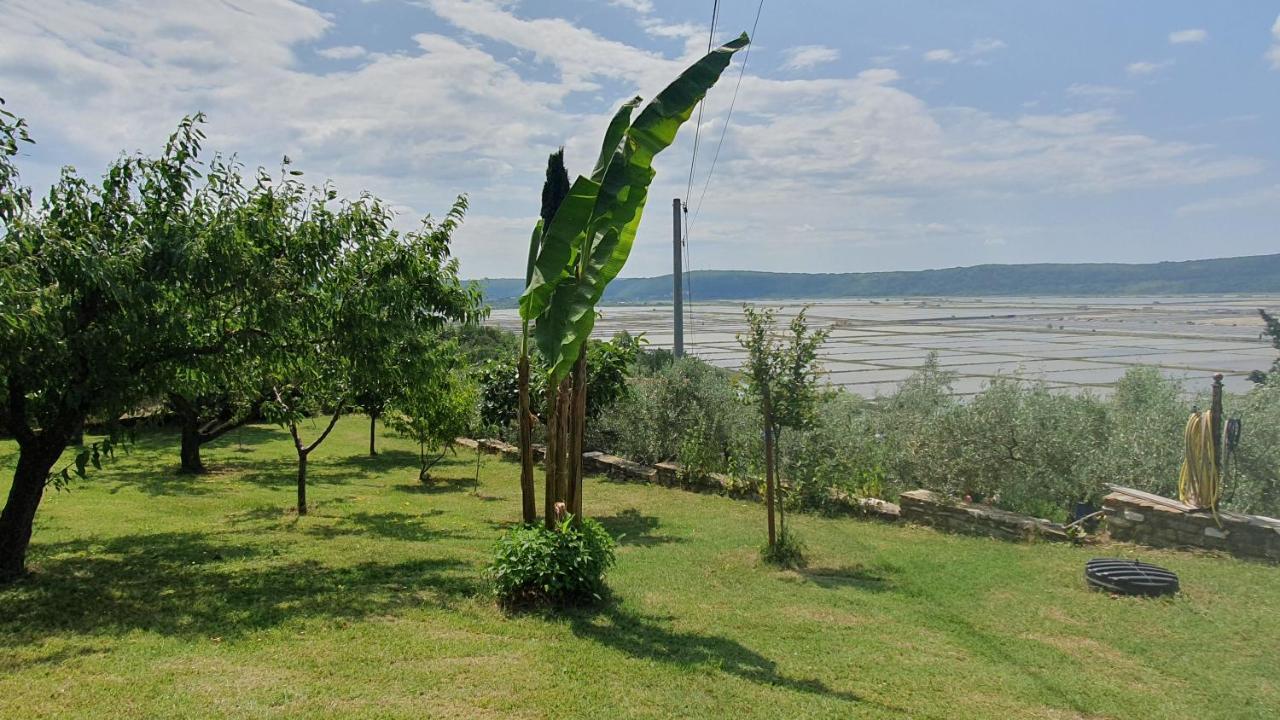 Apartment Laurus Portorož Exterior foto