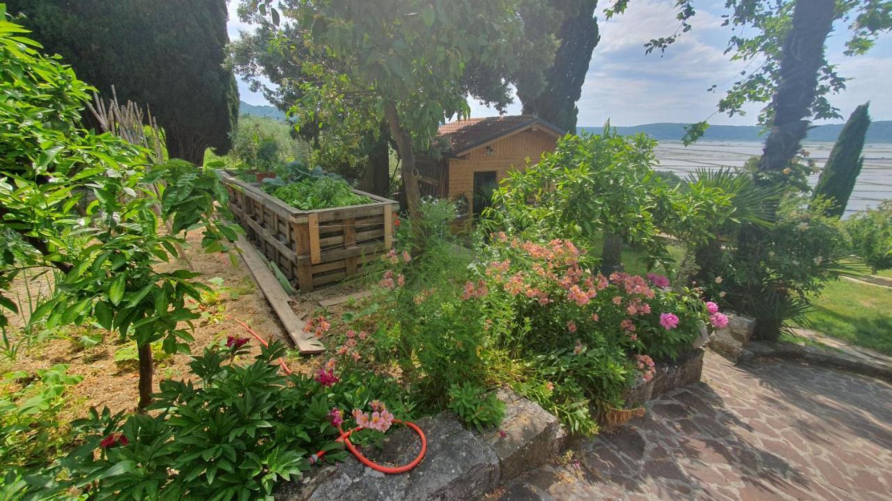 Apartment Laurus Portorož Exterior foto